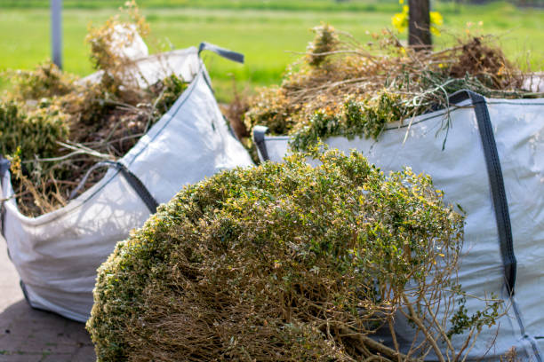 Best Carpet Removal and Disposal  in Byng, OK